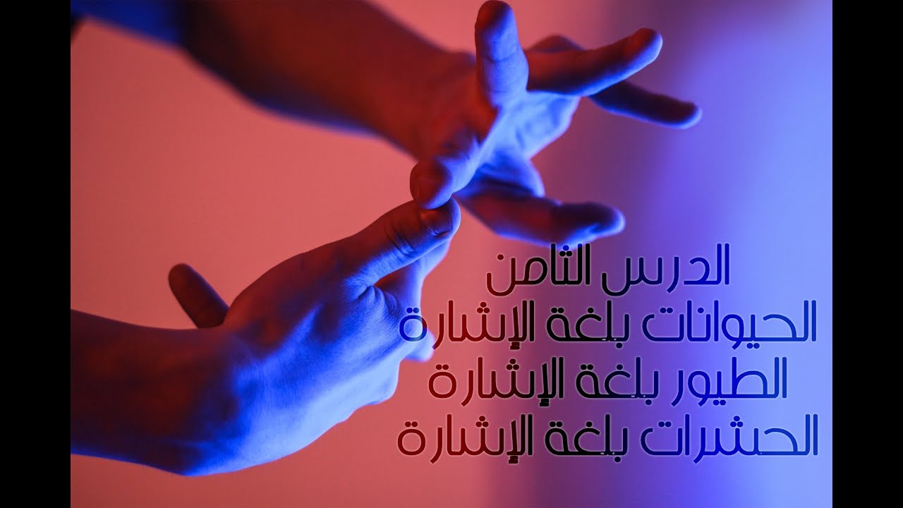 الدرس الثامن - الحيوانات والطيور والحشرات بلغة الإشارة