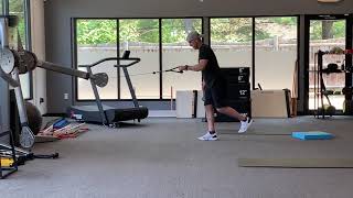 SLDL w/1-Arm Cable Row