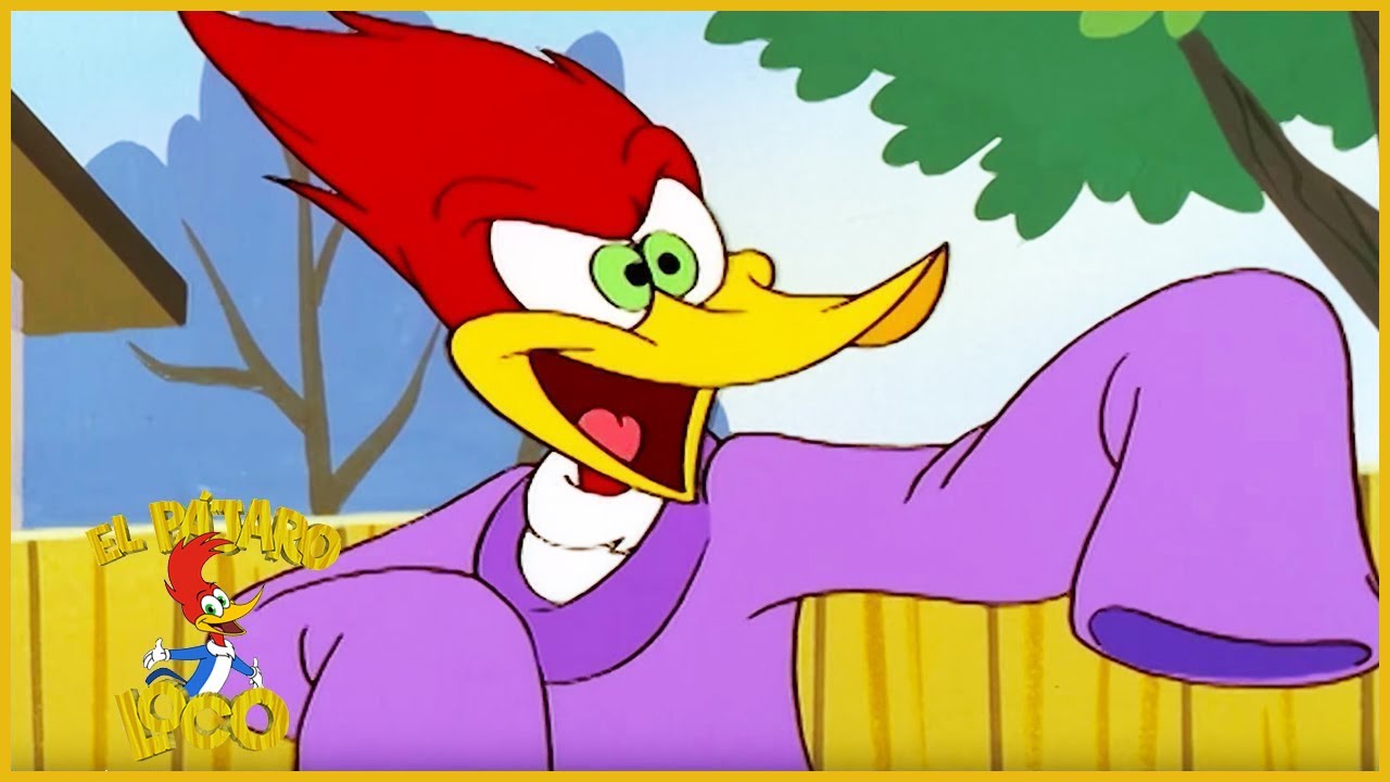 El Pajaro Loco en Español | Tía Pecky | Compilación de 1 Hora | Dibujos Animados