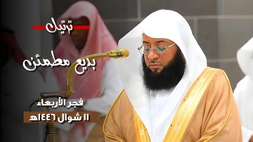 ترتيل بديع مطمئن لما تيسر من #سورة_المائدة | فجر الأربعاء 11 شوال 1446ه‍ | فضيلة الشيخ #بدر_التركي