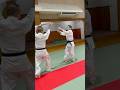 剣取り自由技　Kendori-Jiyuwaza #aikido #合気道　#錬身会　#renahinkai #Tsuganezawa #津金沢