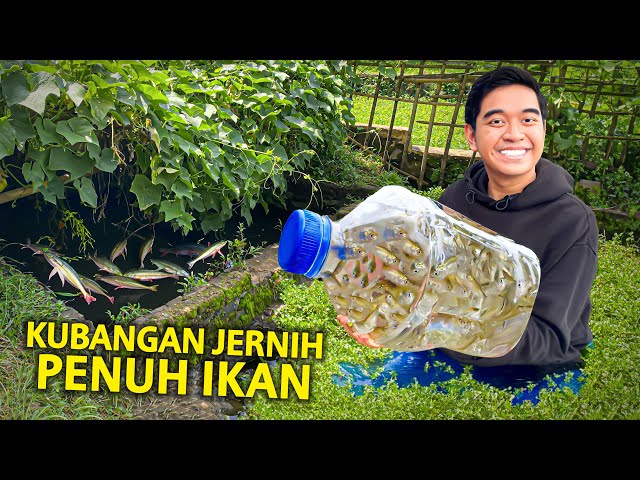 PASANG PERANGKAP BOTOL BEKAS DI KUBANGAN JERNIH PENUH IKAN! DAPET IKAN CUPANG ALAM! class=