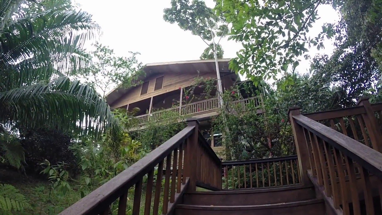 Tranquilo Bay, Panama - YouTube