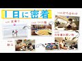 【１日に密着動画】波乗＞仕事＞万年筆＆ペンケース購入＞飲み