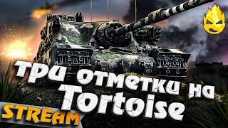  Доедим Торт то сегодня 