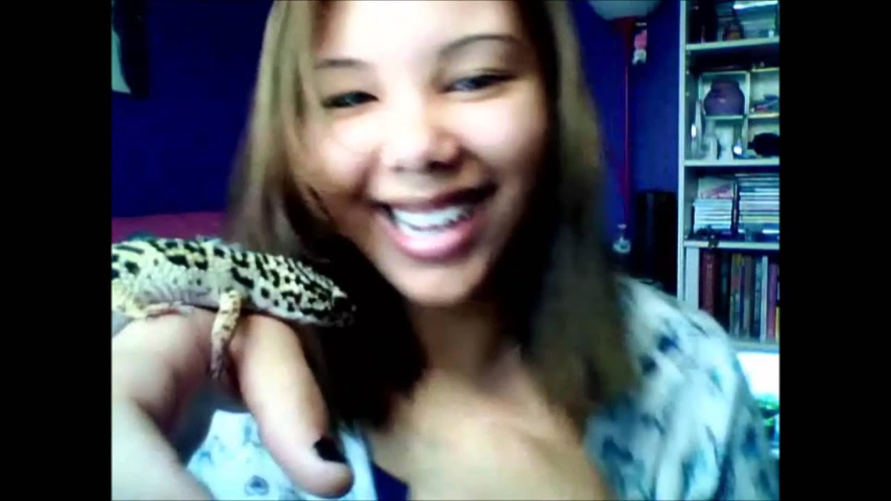 Face To Face Leopard Geckos Youtube