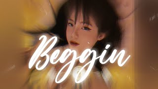 tiktok Beggin Remix  Bn Mix Cng Dame Dame Lunis