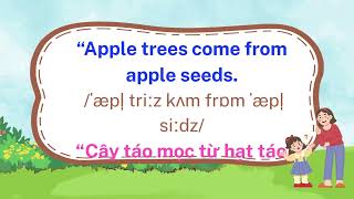 STORY 2: ONE LITTLE SEED, ONE BIG TREE