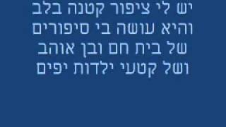 Video thumbnail of "יש לי ציפור קטנה בלב קריוקי"