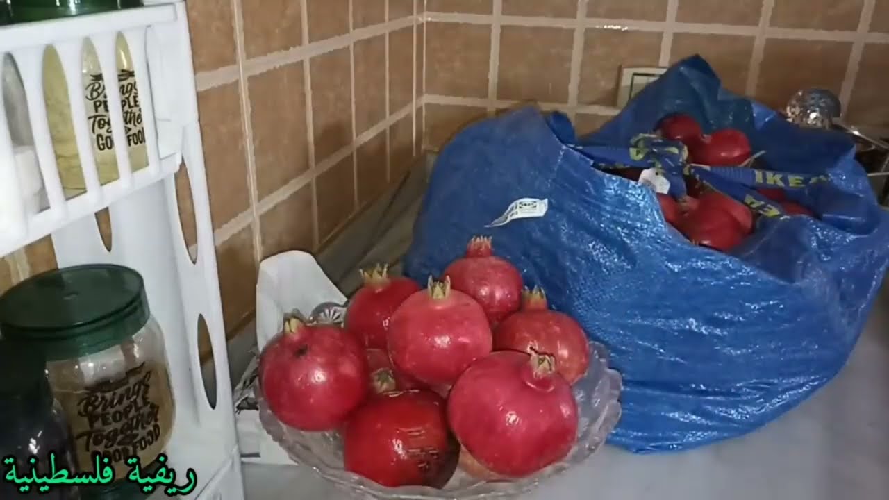 لا تخلي الذئاب شهودك بتضيع حدودك