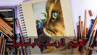 رسم قطة مع فراشة ( تعليم الرسم بالباستيل )