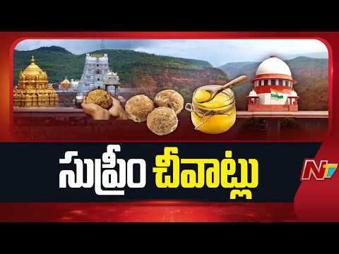 Tirumala Ghee Controversy: తిరుమల కల్తీ నెయ్యి పై దాఖలైన పిటిషన్ ను కొట్టేసిన సుప్రీంకోర్టు | NTV - NTVTELUGU