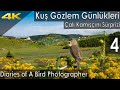 Kuş Gözlem Günlükleri 4. Bölüm,  Çalı Kamışçını Sürprizi , Nikon D500, Haçkalıbaba Yaylası, Trabzon