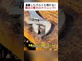 固着したボルトも外せる！ 職人の驚きのテクニック！ #ボルト #サビ取り #修理 #金属加工 #職人技