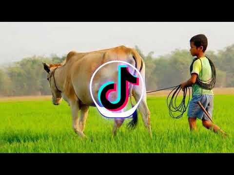 🐂គោអាណាសីុស្រូវអាញ់វើយ😂funny-remix-2019-by-[-dj-smey-kh-]