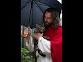 Jesus saves a kitten #jesus #oração #oração #oraçã