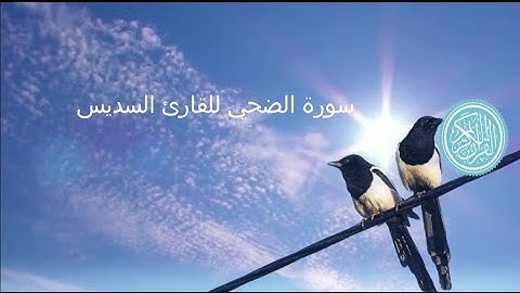 سورة الضحى كاملة برواية حفص عن عاصم بصوت القارئ الشيخ السديس و الشريم