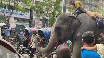 Jaipur’s Hand Block Printing – A Timeless Craft of Art & Tradition | The Jaipur Wala