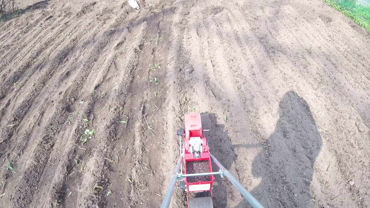 のんびり農園紀行　蕎麦の種まき