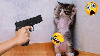 🤣 Funny actions of cats 😹😻 Best Funny Animal Videos 😅