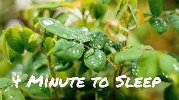 4 Minute & 36 Second Timer To Sleep | Relaxing and Soft Music | Baby Timer