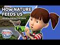 How Nature Feeds Us 🌍🌱 | Shane the Chef Healthy Eating Cartoons for Kids