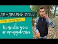 СОЧИ: ДЕНДРАРИЙ и СУПЕР-БЛИЦ о прелестях города