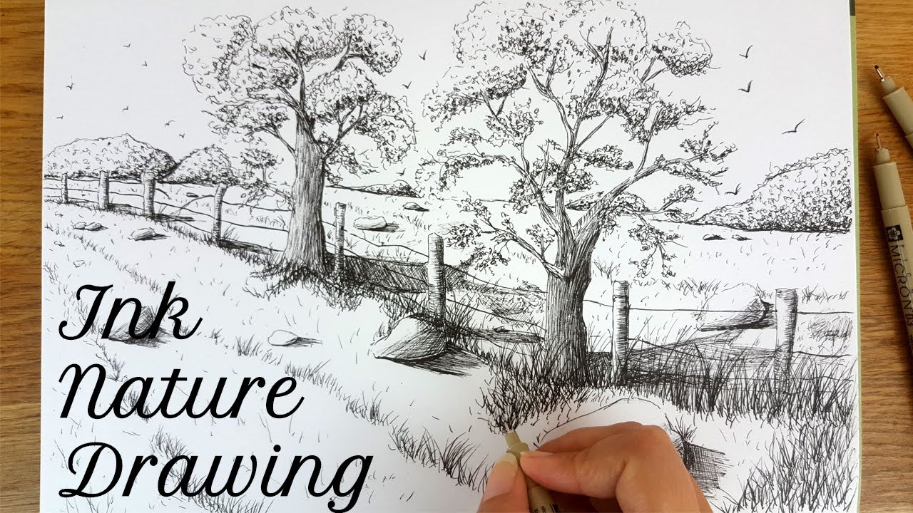 How to Draw A Nature Scenery Pen & Ink Drawing#1 