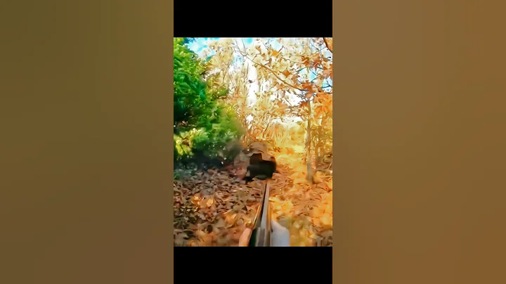 идеальный снимок дикого кабана 🐗#cinghiale #hunting #chasse #challenge #chase #охота