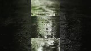 Relaxing Rain Sounds for Sleep ASMR🌧️ #shorts