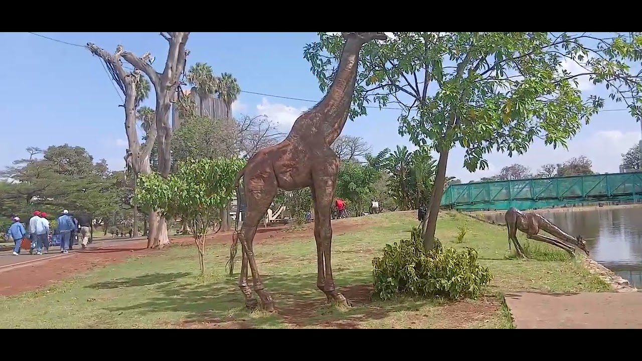 THIS IS  HOW UHURU GARDEN/PARK IN NAIROBI CITY IN KENYA LOOKS LIKE!!!😍😍😍😍😍😘
