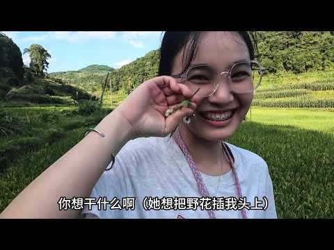 几天没去地里看 婆婆种的香瓜全都熟了 扑鼻的香味 三妹摘的停不下来