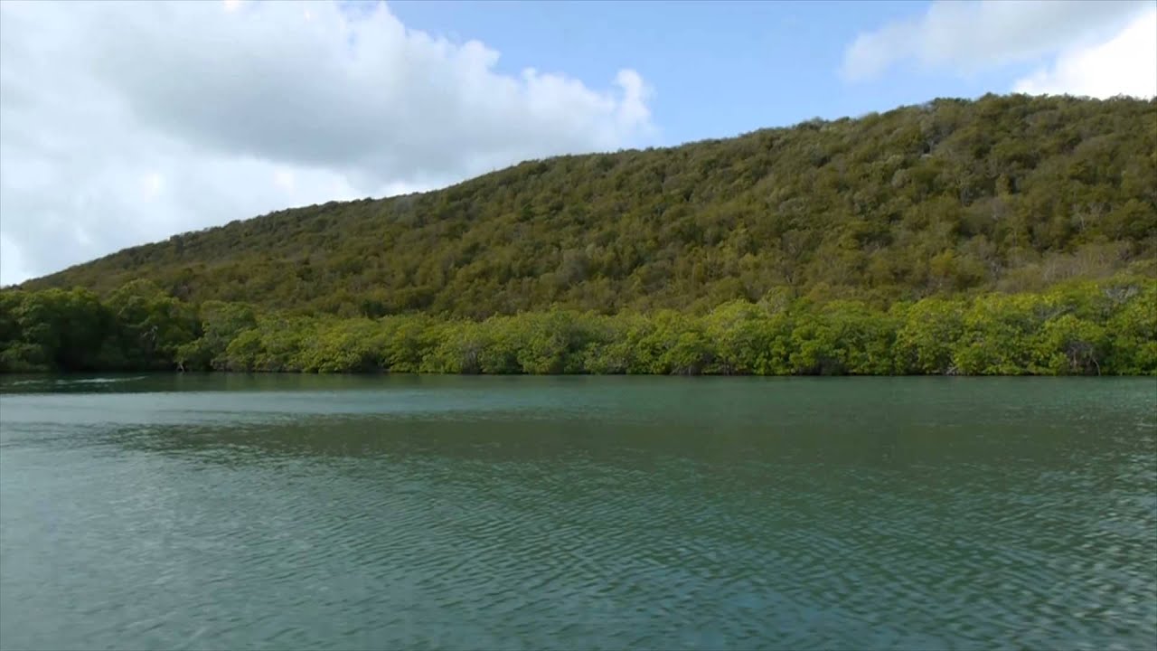 Don't sell out Jamaica Save Goat Islands YouTube