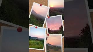 Nature ASMR lV #nature #viral #birds #trending #bird_noise #aesthetic #wow #beautiful #yawn #yt