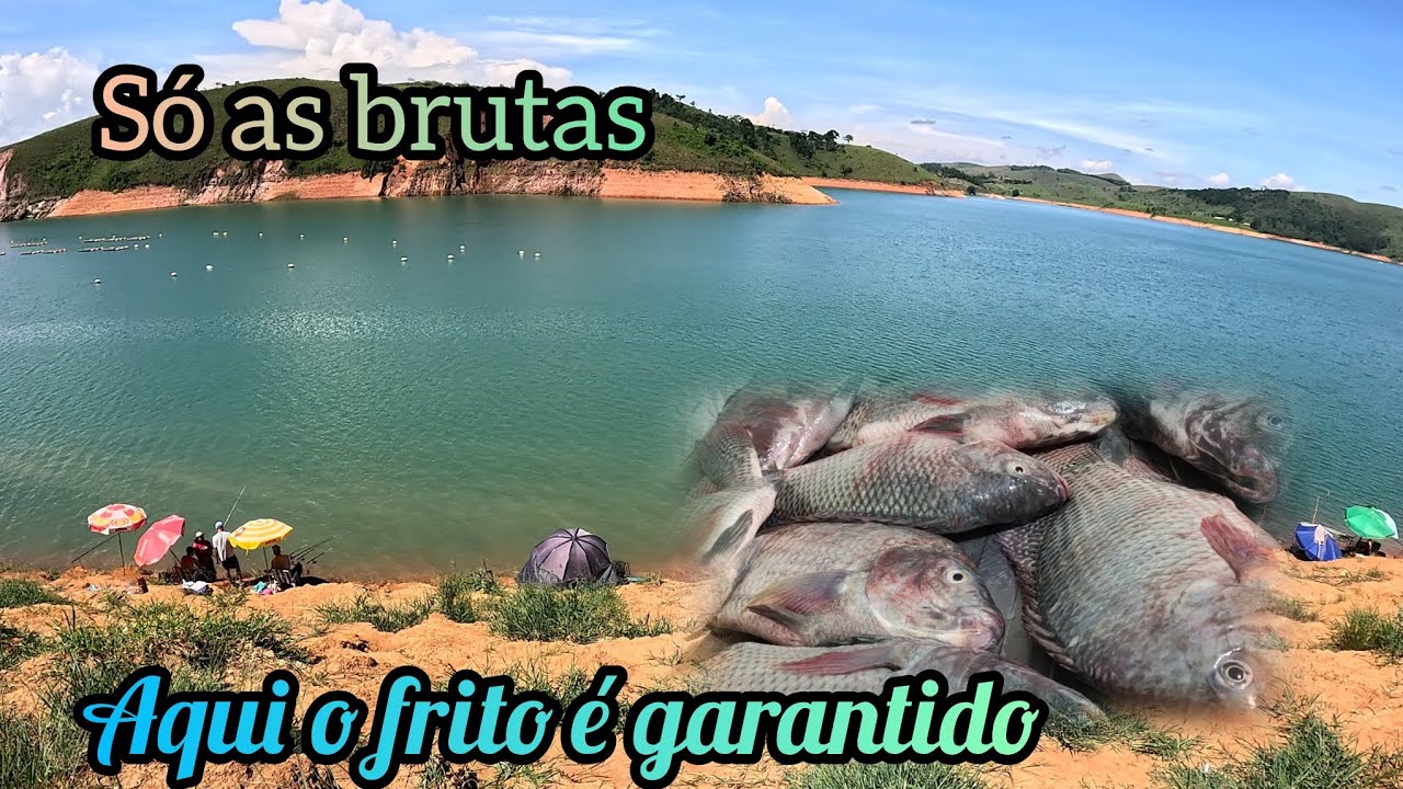 Mais uma pescaria realizada com sucesso! Saiu umas tilápias brutas!