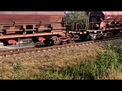 Video: Kako Voziti životinju Vlakom