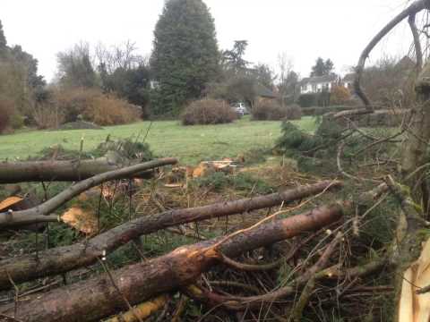 Chainsaw Timelapse