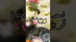 مبارك ياأم البنين بمولد العباس 🌸🌷🌼✨