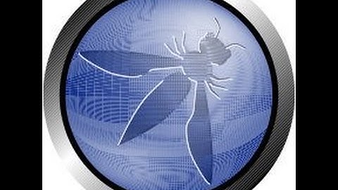 WebAssembly: Fast, Dangerous, and Likes Trouble? by Jack Mannino