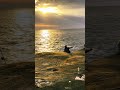 #fishing #sydney #australia #youtubeshorts #shortvideos #viralvideos #india
