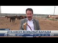 Ата кәсіп жойылып барады