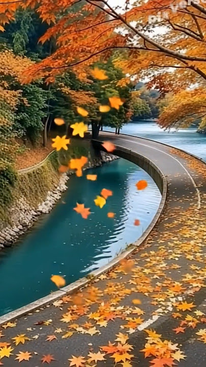 Flowers Earth and Nature View /Ladki Badi Anjani Hai 💐🏞️🥀🌿🌺🌹🌼💧#nature #beautifulflowers #song