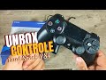 Comprei 2 Controles de PS4 DualShock Originais