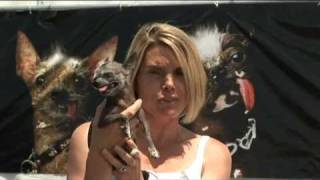 World's Ugliest Dog - Meet Buster!