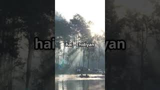 Bogijuli Camp Near Nameri – Haunted or Just a Myth?