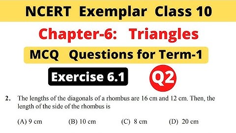 NCERT Exemplar | Class 10 Maths | Chapter 6 Triangles | Exercise 6.1 | Question 2 | MCQ Term 1