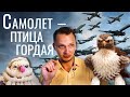 Про авиацию простым языком | Выпуск №2 | EVAN 玉龙