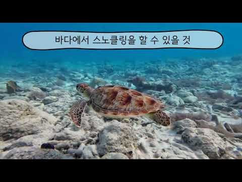[Prologue] 서울→대만→세부→서울 ✈️ 특별한 여행의 시작🧳 소중한 일주일 휴가, 하늘에서 시간 버리기 싫다면?