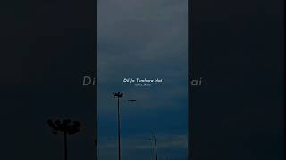 Dil Jo Tumhara Hai Kaisa Bechara Hai 💝🌸 Dil Ka Jo Haal Hai #love #lyrics #shorts #lofi