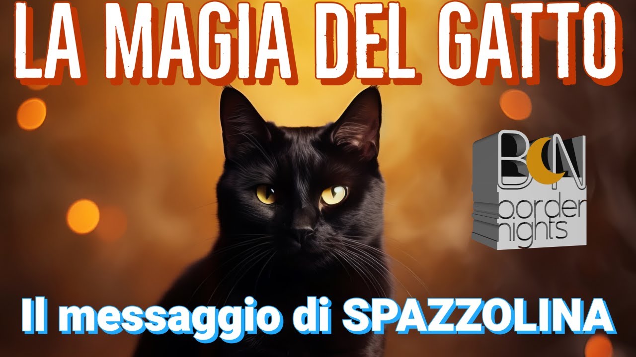 LE Streghe di FENIX - 🐈‍⬛ RITUALE PER FAR GUARIRE IL GATTO